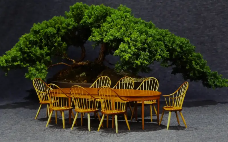 1/12 scale miniature Windsor dining set with bonsai, photographed for the studio